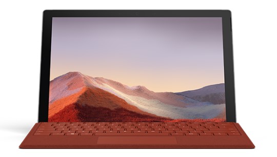 花山清洁和维护 Surface